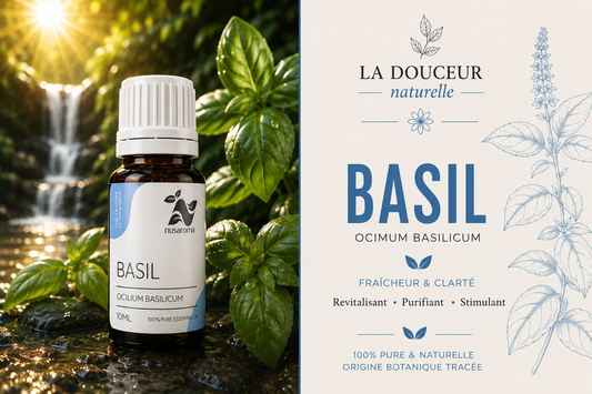 Basilic — clarté revitalisante-10ml-