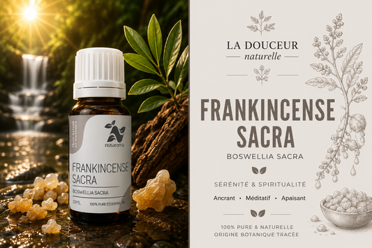 Sacred incense — meditative depth