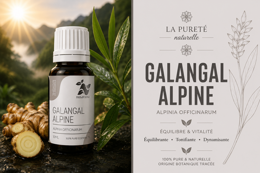 Alpine galangal — Indonesia 10ml
