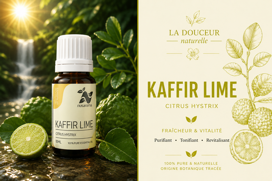 Kaffir lime — revitalizing radiance