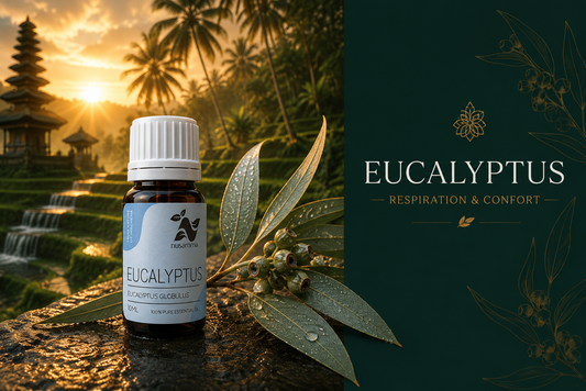 Eucalyptus — liberating breath