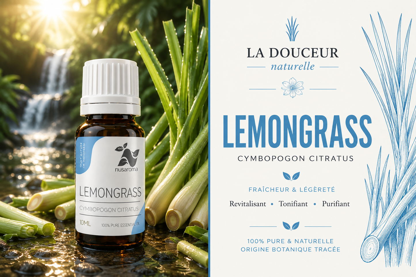 Lemongrass — fraîcheur tonique-10ml-