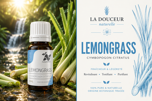 Lemongrass — invigorating freshness